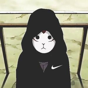 Meet your Posher, Jose